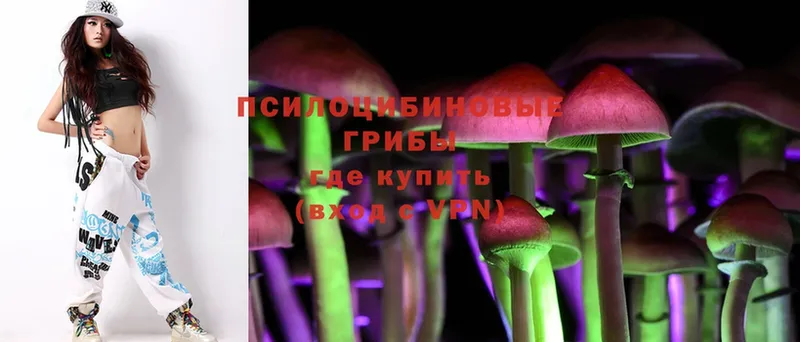 Галлюциногенные грибы Magic Shrooms  mega маркетплейс  Наволоки 